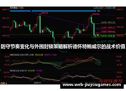 防守节奏变化与外围封锁策略解析德怀特鲍威尔的战术价值
