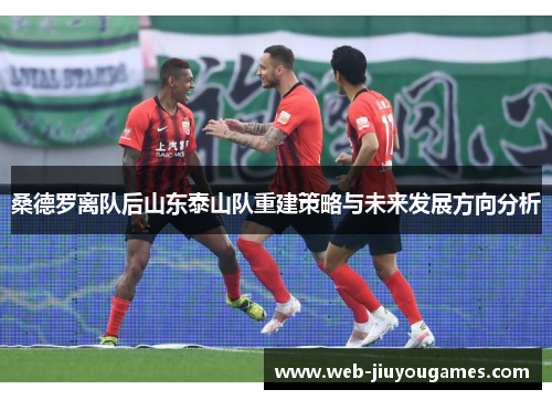 桑德罗离队后山东泰山队重建策略与未来发展方向分析